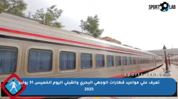 تعرف على مواعيد قطارات الوجهي البحري والقبلي اليوم الخميس 31 يوليو 2025